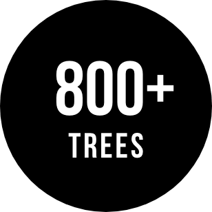 800 trees